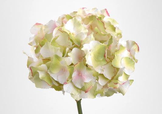 Fleur artificielle HORTENSIA ALTONA - Lou de Castellane