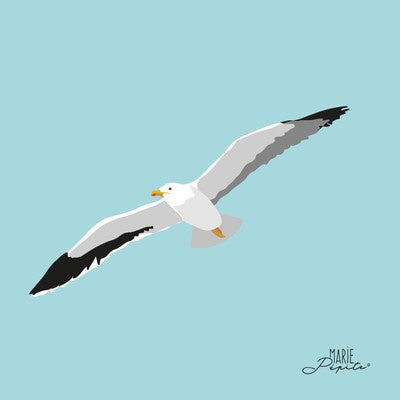 Petit tableau GOELAND EN VOL 11 x 11 cm