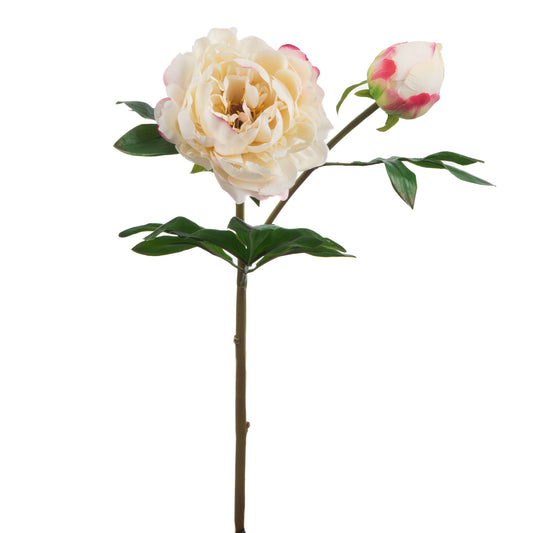 Fleur artificielle  PIVOINE SUBLIMA REALITY crème - Lou de Castellane