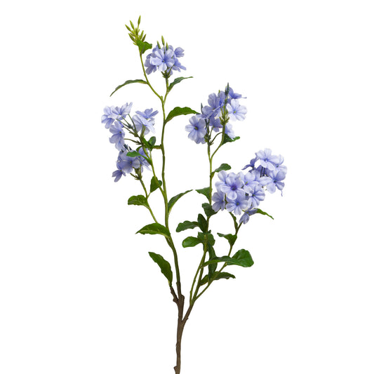 Fleur artificielle DENTELAIRE DU CAP - Lou de Castellane