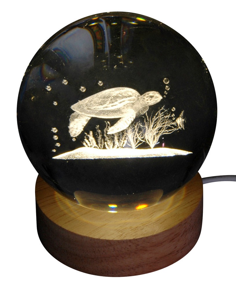 Sulfure hologramme TORTUE avec support LED en bois