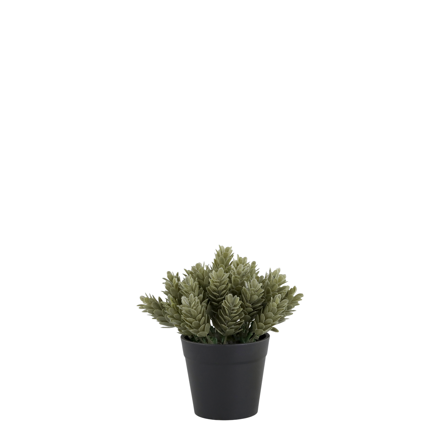 petite plante artificielle