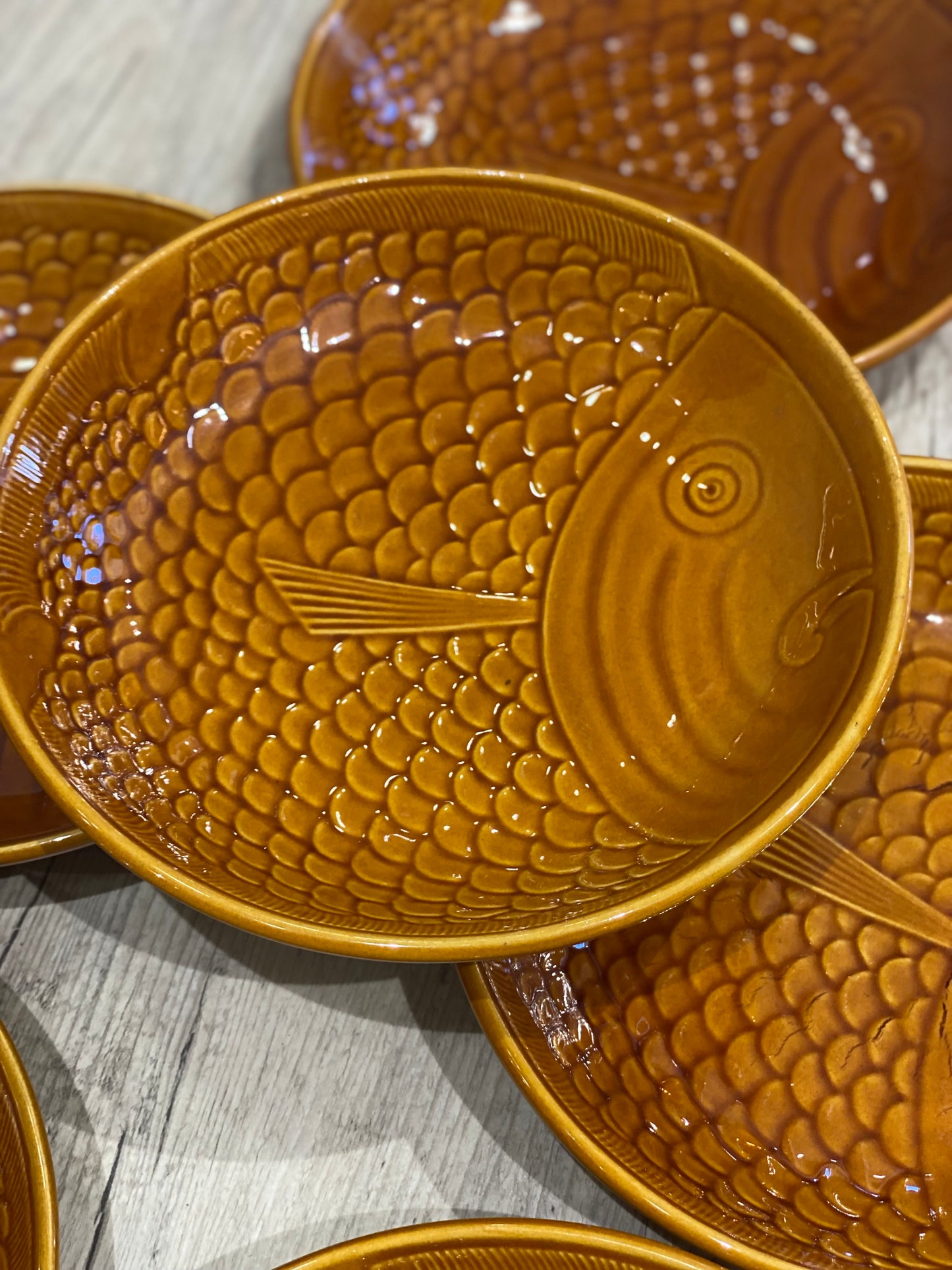 LOT DE 6 ASSIETTES CREUSES "POISSON"