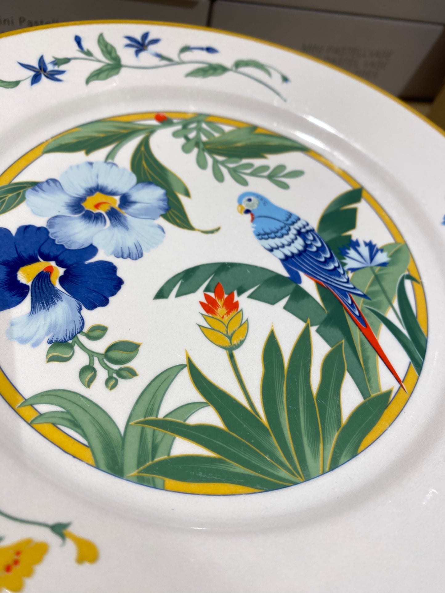 lot de 6 assiettes à dessert "ARA" Japon Hibiscus et Perroquet