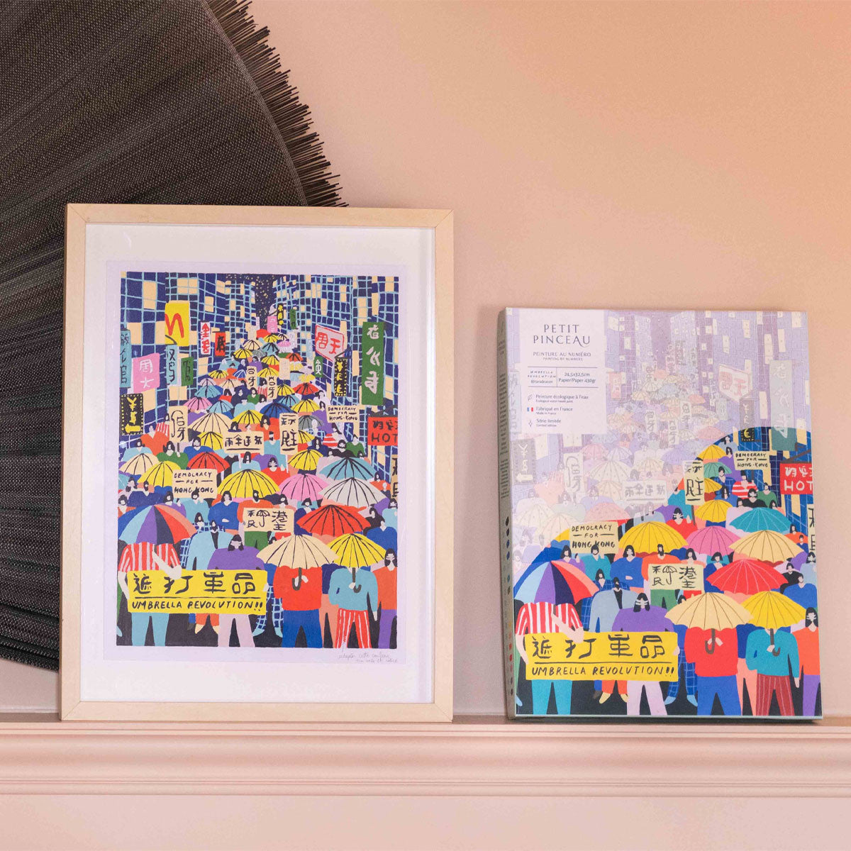 Coffret peinture au numéro - Umbrella Revolution par Tara Deacon