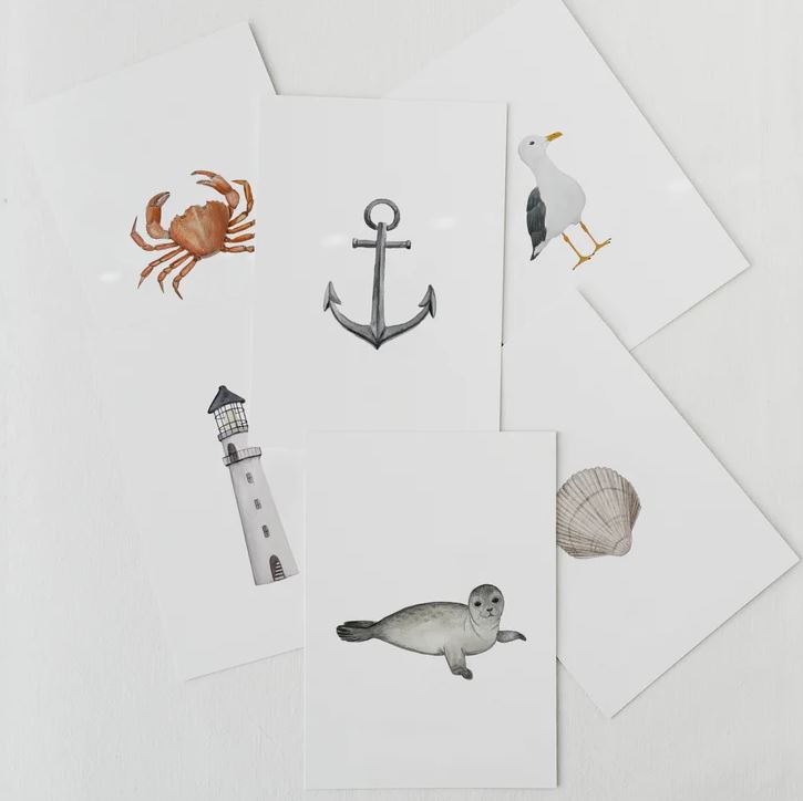 Carte postale aquarelle "Coquillage"