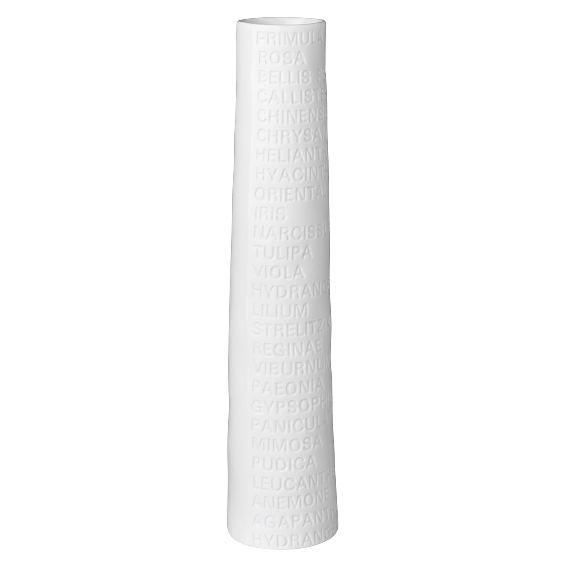 Grand Vase étroit en porcelaine avec texte botanique - Räder