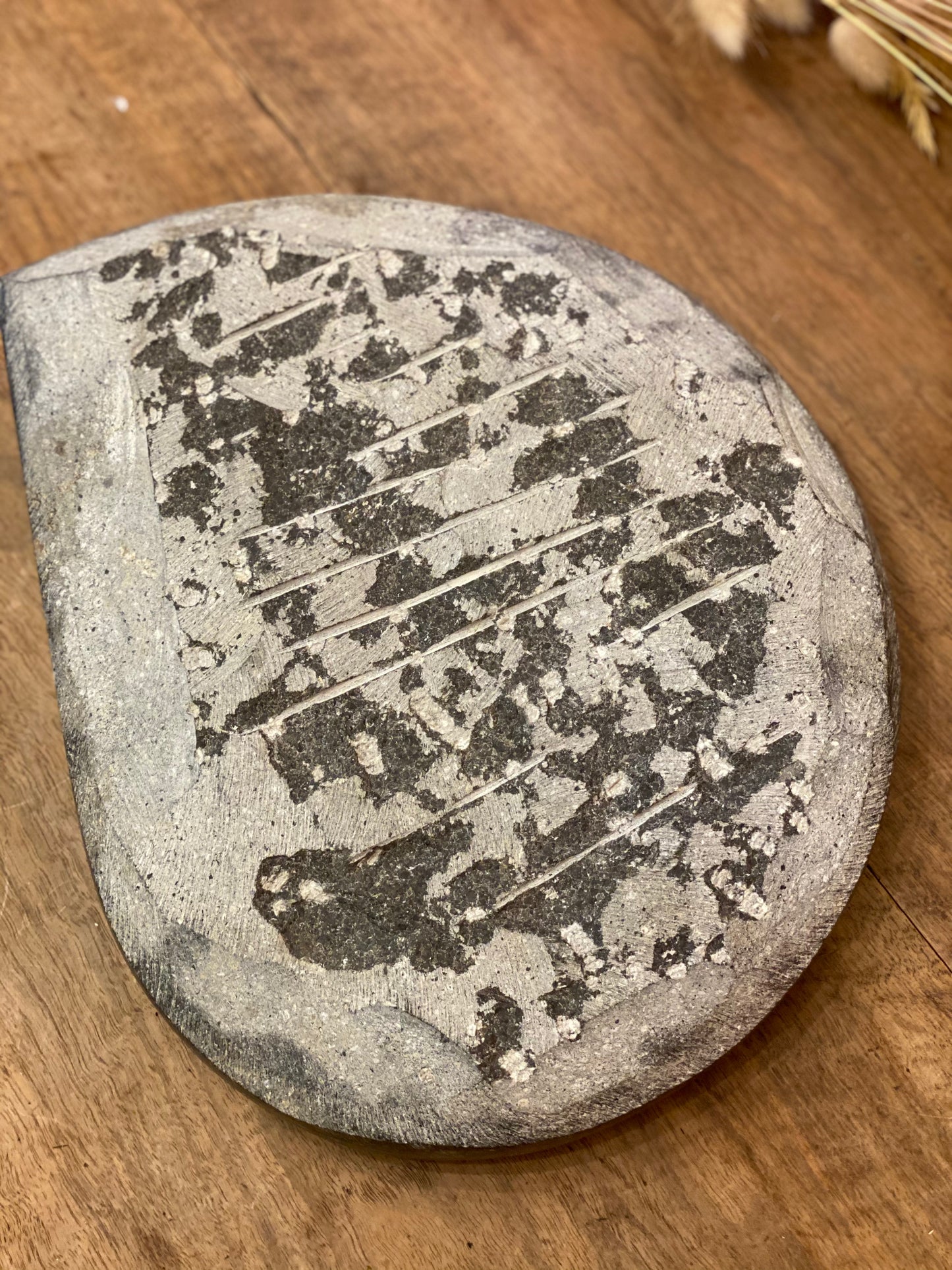 Escargot sculpté - ammonite fossile