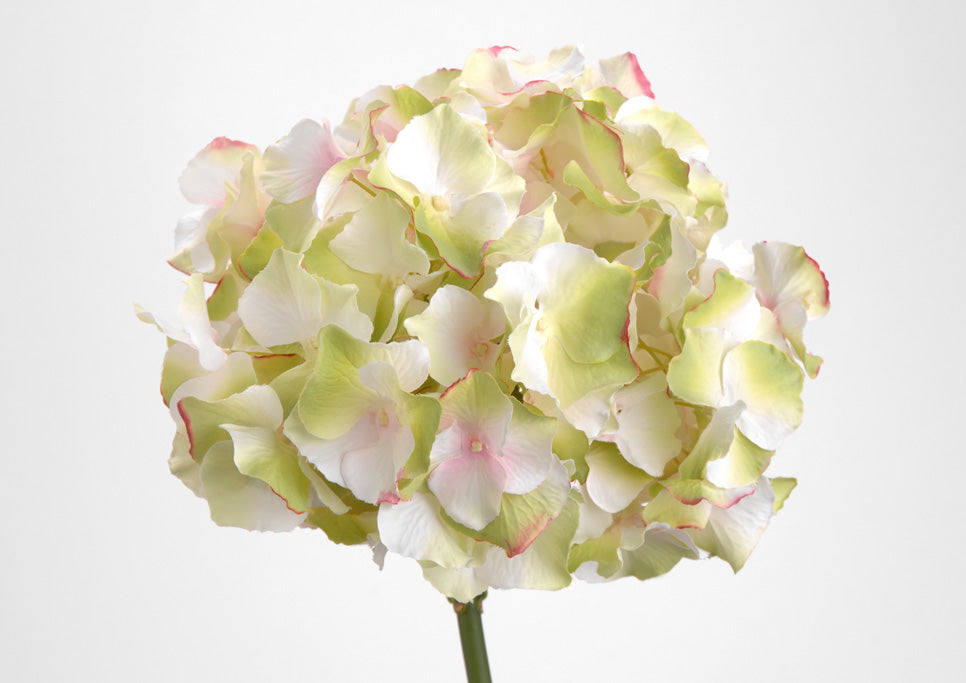 Fleur artificielle HORTENSIA ALTONA - Lou de Castellane