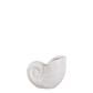 Vase en forme de coquillage