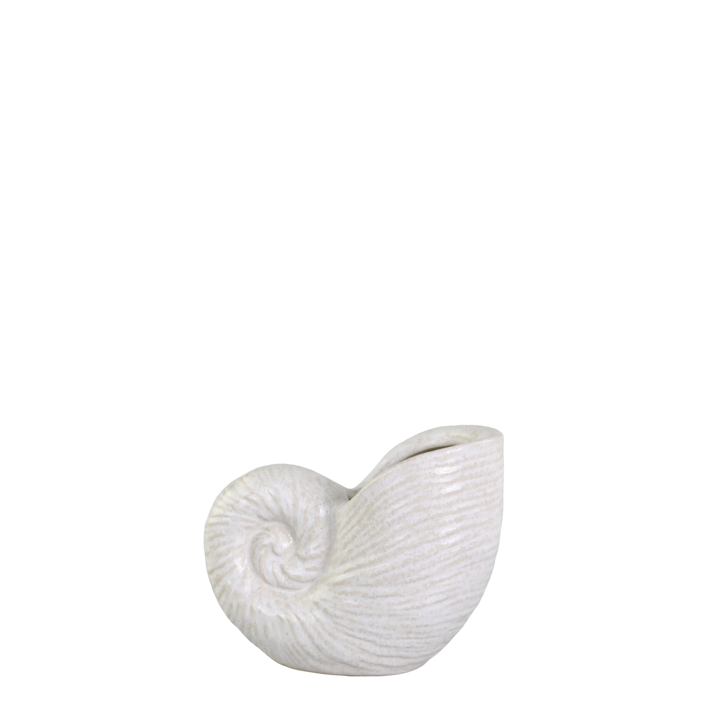 Vase en forme de coquillage