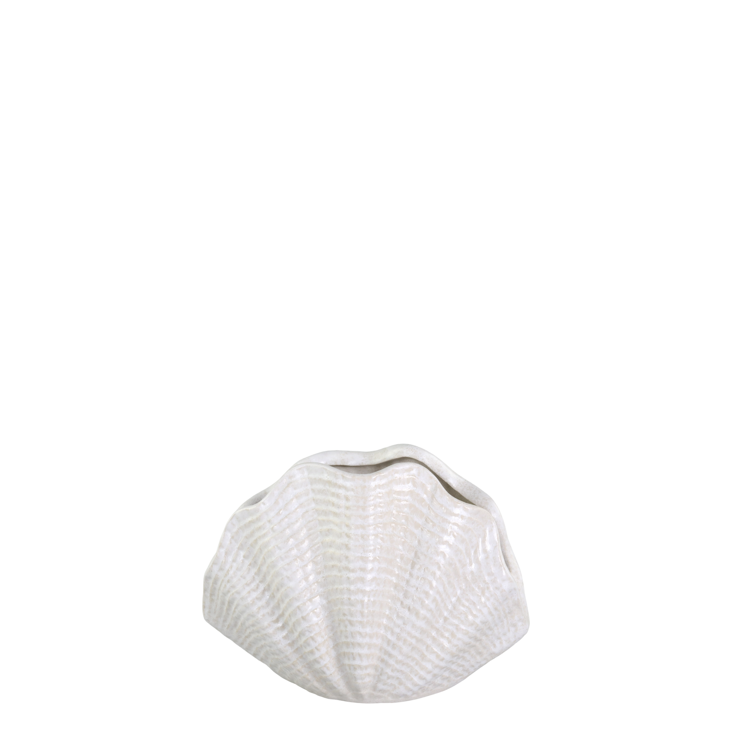 Vase en forme de coquillage