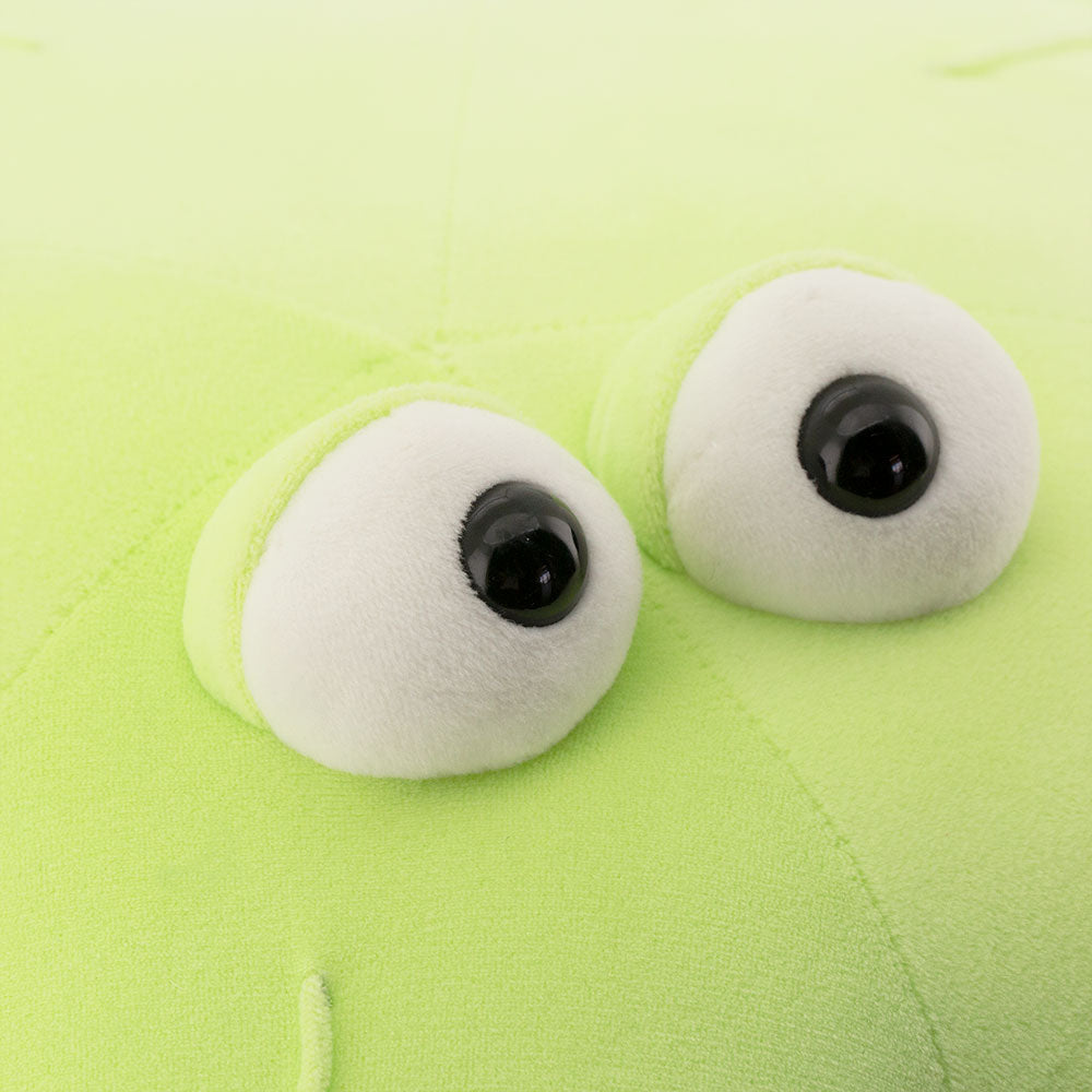 GRANDE PELUCHE étoile de mer verte