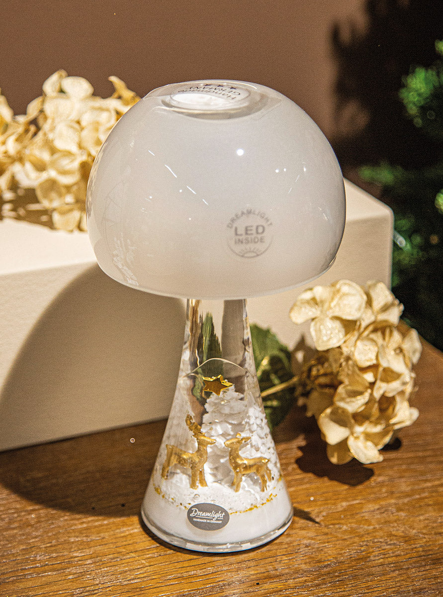 Lampe photophore "Lumière du rêve" décor Rennes