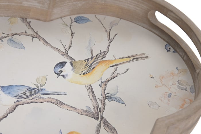 Plateau Bois Oiseaux Naturel