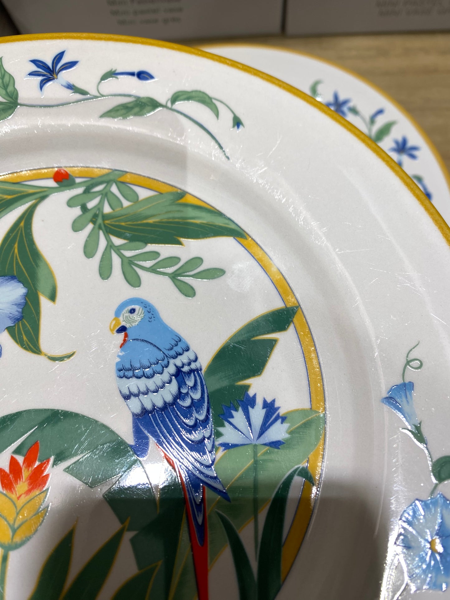 lot de 6 assiettes à dessert "ARA" Japon Hibiscus et Perroquet