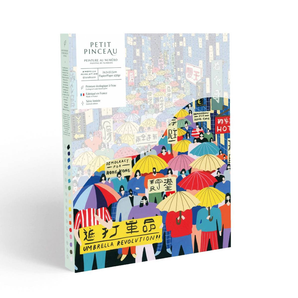 Coffret peinture au numéro - Umbrella Revolution par Tara Deacon