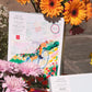 Coffret Peinture au Numéro Promenade près de l'Océan La Petite Epicerie