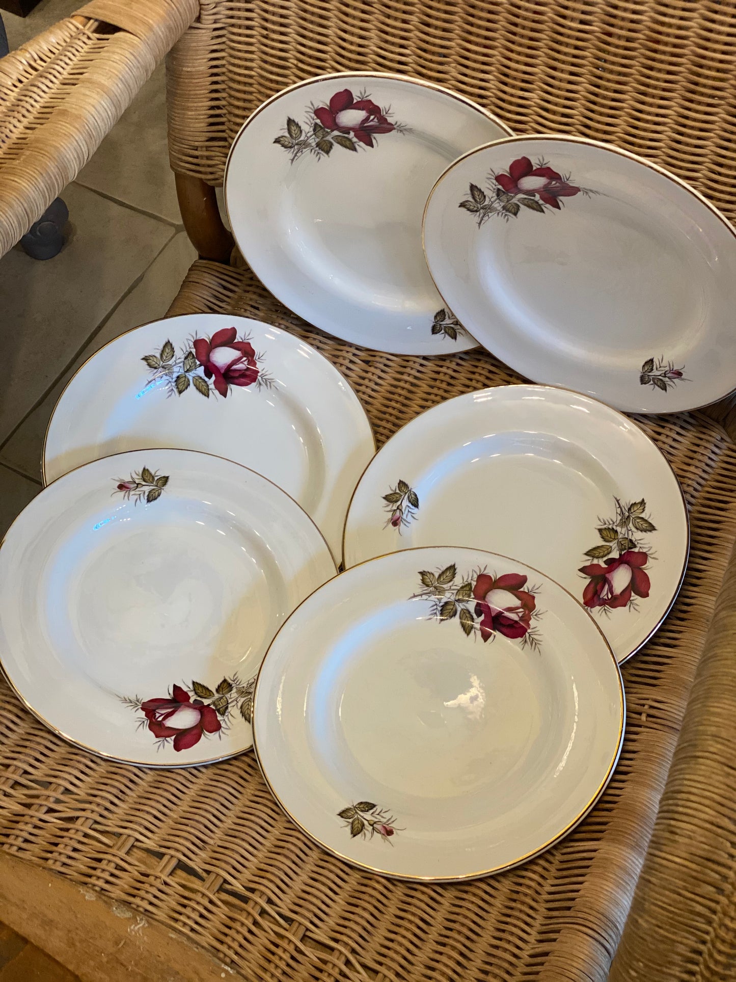 6 assiettes plates « Autumn Rose »