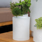 Grand vase "no rain" - Räder